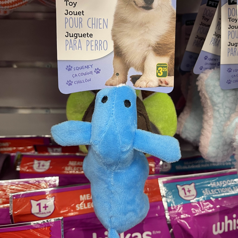 Found this cool dog toy in a store, I liked the sound it made. It reminded me of a toy my dog owned and killed.